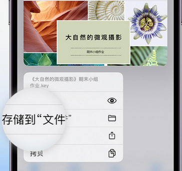 湖滨apple维修中心分享iPhone文件应用中存储和找到下载文件