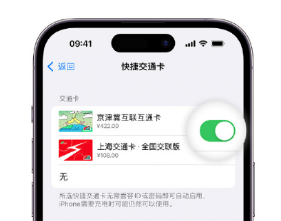 湖滨apple维修点分享iPhone上更换Apple Pay快捷交通卡手绘卡面 