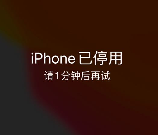 湖滨苹果手机维修分享:iPhone 显示“不可用”或“已停用”怎么办？还能保留数据吗？ 