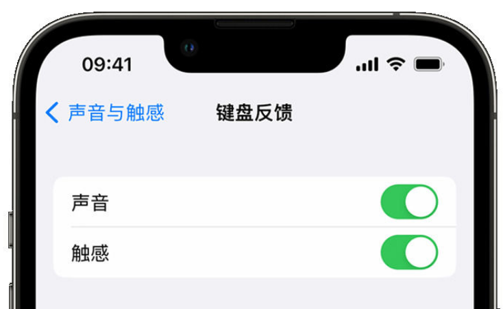 湖滨苹果手机维修分享iPhone 14触感键盘使用方法 