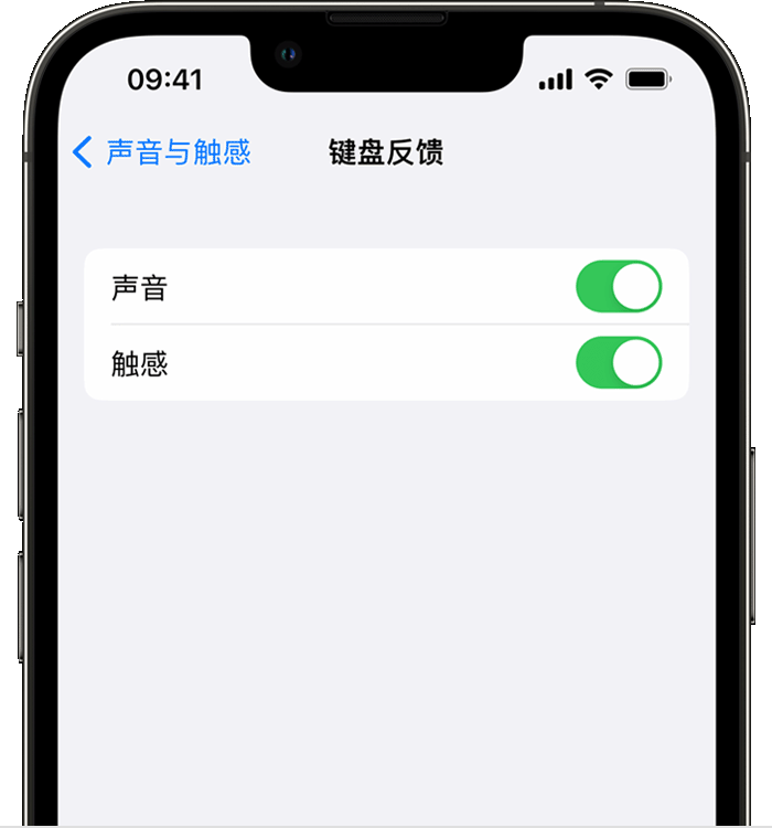 湖滨苹果14维修店分享如何在 iPhone 14 机型中使用触感键盘 