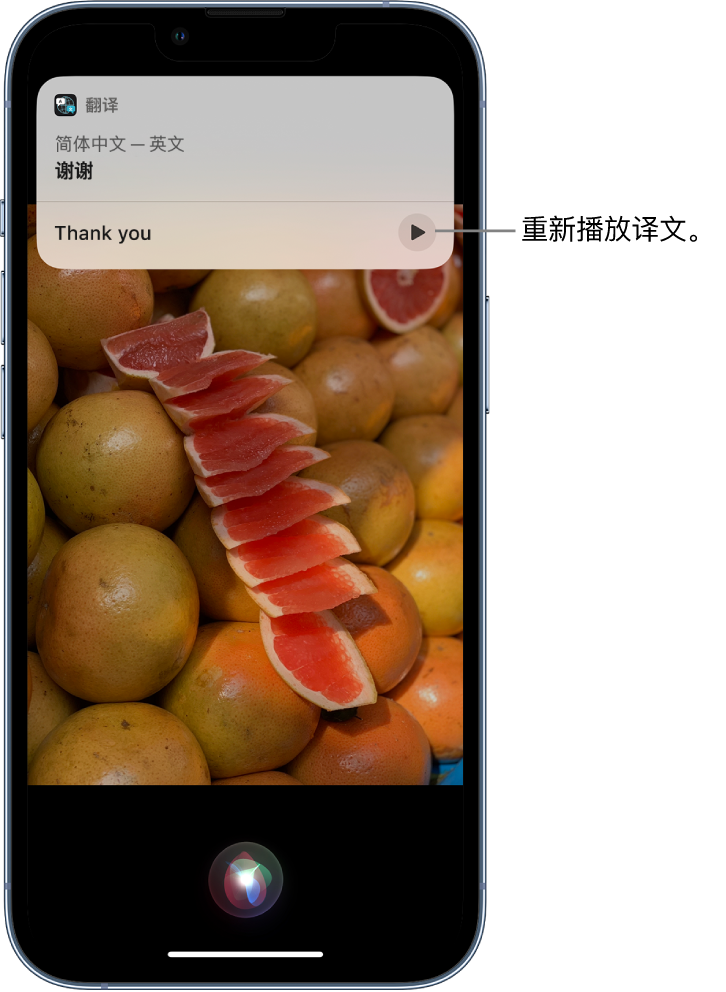 湖滨苹果14维修分享 iPhone 14 机型中使用 Siri：了解 Siri 能帮你做什么 