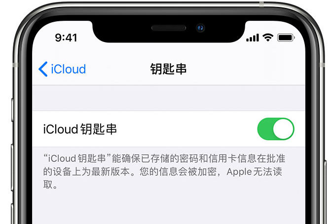 湖滨苹果手机维修分享在 iPhone 上开启 iCloud 钥匙串之后会储存哪些信息 