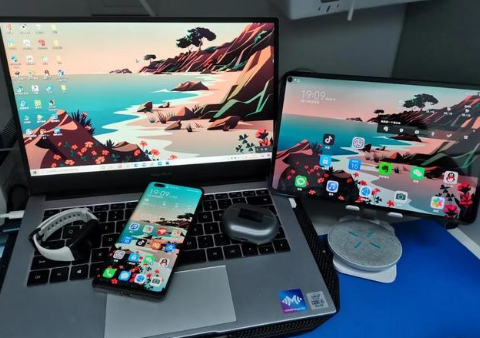 湖滨苹果手机维修分享为什么iPad屏幕更大价格却比iPhone低 